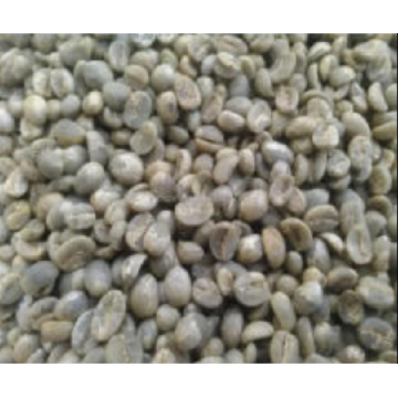 Bon échantillon gratuit de grains de café vert soluble dans l&#39;eau